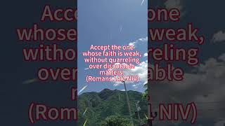 Accept the one whose faith is weak without quarreling over disputable matters Romans 141 NIV [upl. by Asiuqram677]