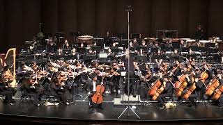 Antonin Dvorak  Cello Concerto in B minor Op 104 [upl. by Kra]