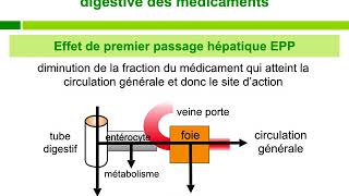 PharmacocineÌtiqueCours commenteÌ [upl. by Atsok929]