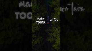 Main toota wo tara 🎵✨ song trending music viralshorts trending [upl. by Ahseryt]