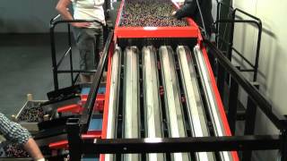 Perfect mechanical cherry sorter CGM 5 4 [upl. by Ayiak]