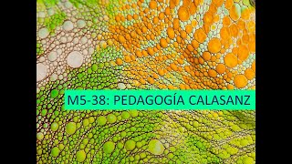 Vídeo M538 PEDAGOGÍA CALASANZ [upl. by Pascha248]