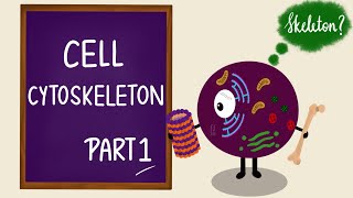 Cell Cytoskeleton  Part 1  Microtubules  Cilia  Cell Biology  Cell Physiology [upl. by Ardnalahs]