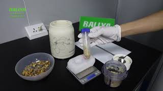 Aflatoxin B1 Rapid Test  Detection of Aflatoxin B1 in Walnut  BALLYA [upl. by Assilym141]