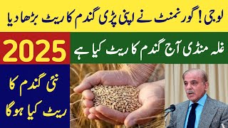 Today wheat rate 2024 2025 [upl. by Hafirahs]