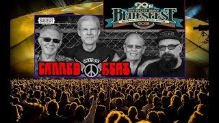 CANNED HEAT BYRON BLUESFEST 2018 [upl. by Atteyek73]