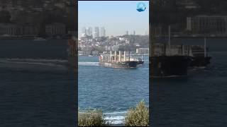 Collision at Bosphorus ship bosphorus maritime collision accident [upl. by Acinoryt]