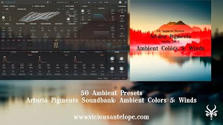 Arturia Pigments Presets  Vicious Antelope  Ambient Colors 5 Winds  Ambient Wind Patches [upl. by Tammara]