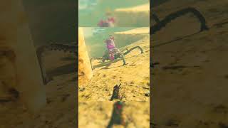 How to Fight a Guardian With Just a Shield zelda botw shorts viral [upl. by Norvin]