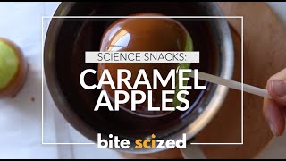 What’s really going on in caramelization Explore chemical changes through CARAMEL APPLES [upl. by Assitruc]