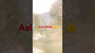 Aalu palak recipe majedar aloo palak Aalu palak banane ka Tarika cooking food  YouTube shorts [upl. by Maudie630]