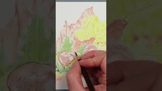 My Coloured Pencil Drawing Process Art Tips colorpencil arttips drawing beginnersdrawing [upl. by Encrata]