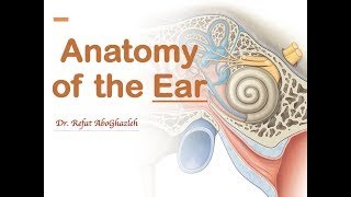 Anatomy of the Ear Full Lecture [upl. by Noslien]