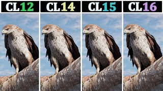 8GB 2400Mhz CL12 vs CL14 vs CL15 vs CL16  Tested 14 Games [upl. by Losse65]