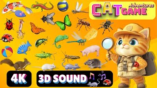 CAT Games Adventures  Ultimate Cat TV Compilation Vol 4  SPECIAL EPISODE 8 HOUR🐝🐞🦋🦎🦜🐜🐭🧵 NO ADS [upl. by Tiedeman]