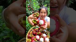 Everyone is Surprised to See This Fruit  Amazing Mangosteen shorts satisfying youtubeshorts [upl. by Gonyea628]