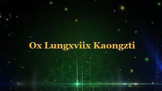 Ox lungxviix kaongzti Tangshang Naga song [upl. by Cicily]