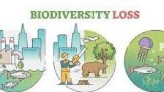 GEOGRAPHY GRADE 12 UNIT 6 PARTY 4 BIODIVERSITY LOSS [upl. by Naellij]