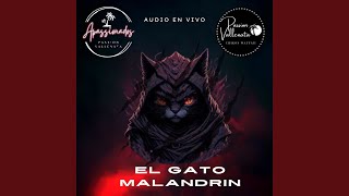 EL GATO MALANDRIN PASSION VALLENATA EN VIVO En vivo [upl. by Nywroc920]