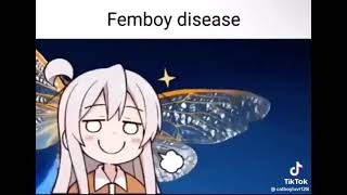 femboy disease [upl. by Teillo]