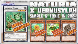 NATURIA x VERNUSYLPH Counter Meta in 2024  Simple but Toxic and Powerful  YuGiOh Master Duel [upl. by Asabi]