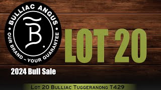 Lot 20 Bulliac Tuggeranong T429 [upl. by Ahtabbat]