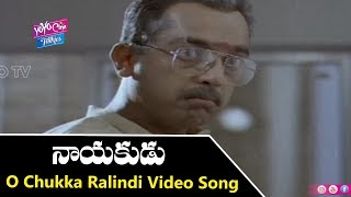 O Chukka Ralindi Video Song  Nayakudu Movie Songs  Kamal Haasan  Saranya  YOYO Cine Talkies [upl. by Okihcim405]