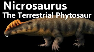 Nicrosaurus The Terrestrial Phytosaur [upl. by Prisilla]