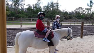 TriCircleD Ranch amp Pony Ride at Disneys Fort Wilderness Resort amp Campground  Walt Disney World [upl. by Eanyl597]