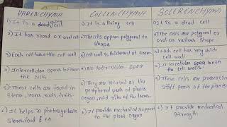 Difference between parenchyma collenchymaand SCLERENCHYMA [upl. by Callery664]