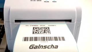 Gainscha GS2408D Label Printer [upl. by Aynwat624]