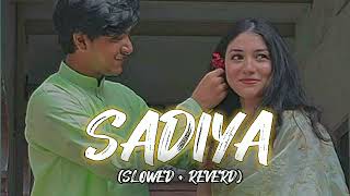 SADIYA  SLOWED REVERDPAWAN SINGH pawnsahu trindingviralvideo [upl. by Naiditch]