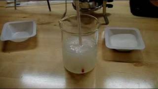 Synthesis of Potassium Nitrate [upl. by Yessej]