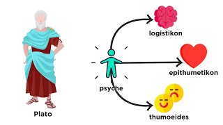 A Brief History of Psychology From Plato to Pavlov [upl. by Ycnalc904]