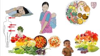 Hindi Nutrition video 4 Fruits and Vegetables protecting foods [upl. by Harriott38]