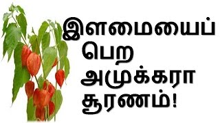 TamilTamil NattuTamil Nattu MaruthuvamTamil Siddha MaruthuvamTamil Natural MedicineSiddha [upl. by Attiuqaj312]