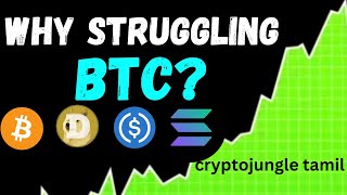 WHY STRUGGLING BTC AT 92K AREA  NEXT BTC MOVE   BITCOIN PRICE PREDICTION TAMIL  cryptojungle [upl. by Yendroc334]