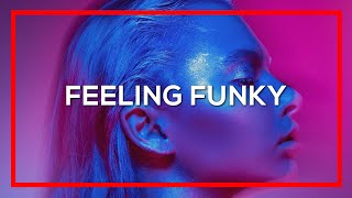 🔴 DEEPSYSTEM  Feeling Funky Official Track [upl. by Hendel]