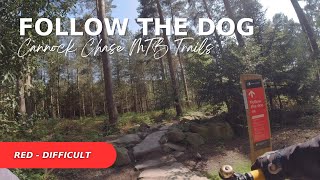 Cannock Chase MTB Trails  Follow the Dog  Difficult Red Trail [upl. by Name88]