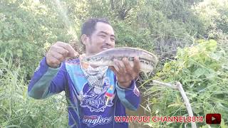 mancing casting ikan gabus dan toman bersama angler siantar spot istimevvah [upl. by Muriah]