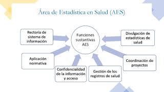 La organización de las unidades de REDES en los niveles centrales del sistema [upl. by Potash]