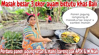 MASAK BESAR PAKEK TUNGKU SEBELUM KE EROPA‼️Masak Ayam betutu 3 ekor  Perdana panen jagung ketan [upl. by Elakram]