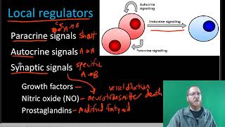 AP Bio The Endocrine System  Part 1 [upl. by Sucrad]