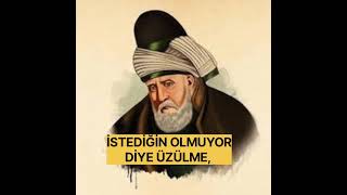 HZ MEVLANA BUYURUYOR Kİ [upl. by Suter]