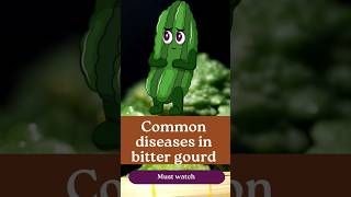 Common diseases in Bitter gourd [upl. by Emiolhs]