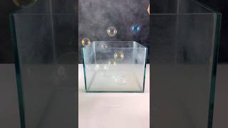 Agak syok dikit 🤏 bubble floating dryice experiment [upl. by Darlleen430]