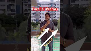 Parallel Vectors  Angle Between Parallel Vectors  What are Parallel Vectors  vector parallel [upl. by Attenyw]