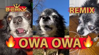 Pudgywoke  OWA OWA Bemax Dance Remix [upl. by Aynahs]