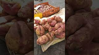 SWEET POTATO foryou shortsfeed foryou shortvideo and this short [upl. by Shultz]