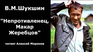 Василий Шукшин quotНепротивленец Макар Жеребцовquot [upl. by Jonah245]